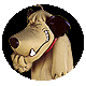 Giz laffs