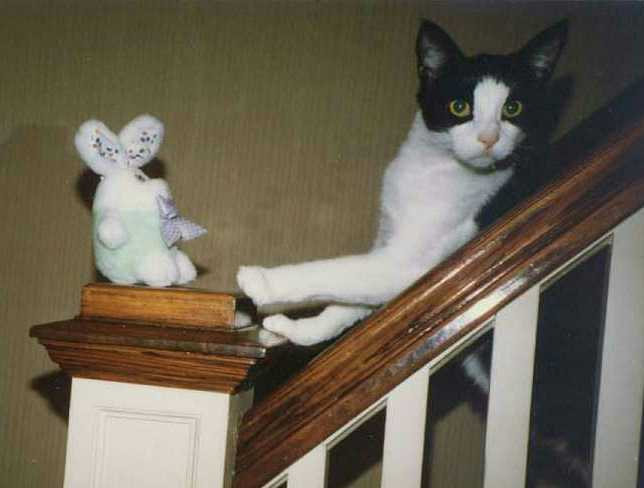 Before I smashed da easter bunny