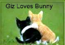 Giz Loves Bunny