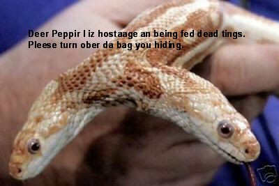 Pepperz Ex Snake