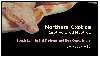 albino boa card