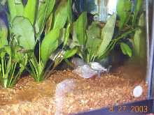 First Pic
