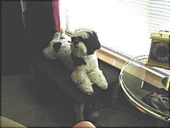 After my Bath