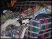 Snugglin'