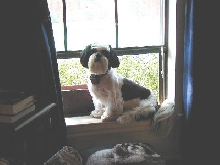 into the window