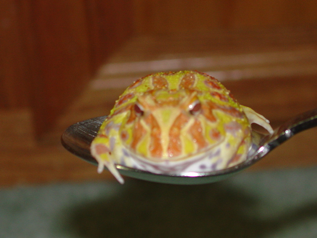 My pacman in november 2003