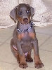 8 weeks
