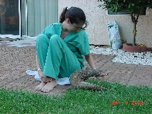Gator & I