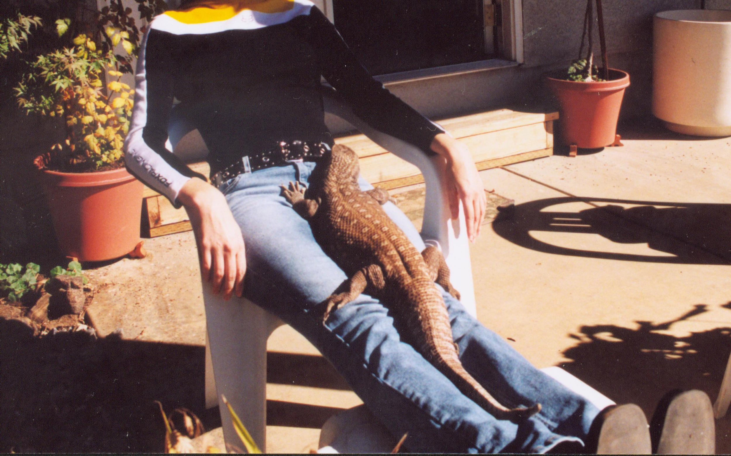 Gator