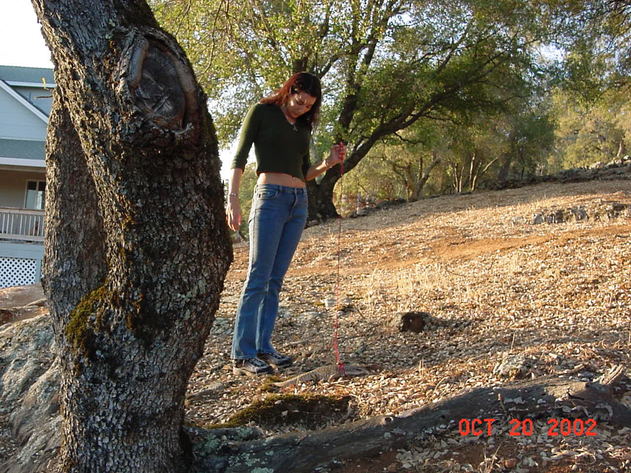 Golum & I