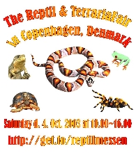 Reptil and TerrarieFair in Denmark
