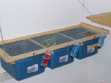 Mouse Rack