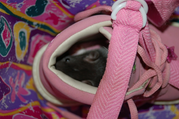 Stuart in a boot