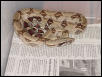 Female Peruvian Boa Constrictor