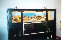MY DRAGON LAIR