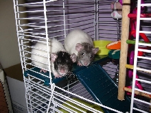 Asia & Paris