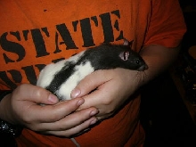 Our new unnamed girl