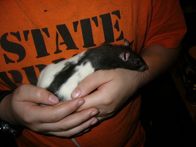 Our new unnamed girl