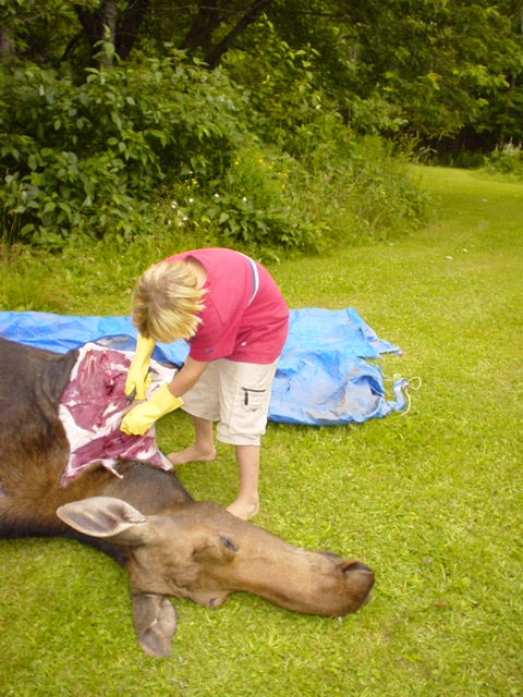 moose is good food