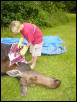 moose is good food