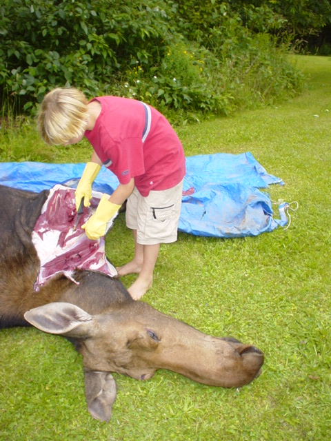 moose is good food