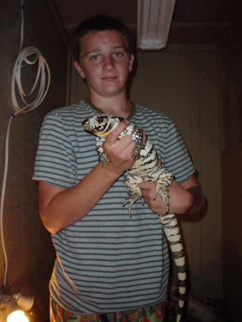 tegu