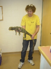 croc vet 2