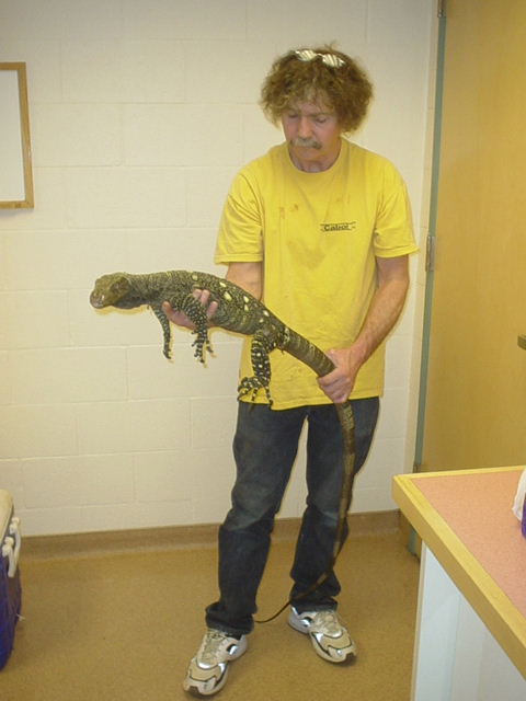 croc vet 2