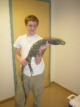 croc vet