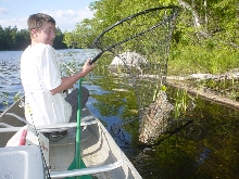 catch and release