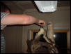 feeding