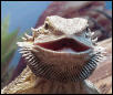Smile!