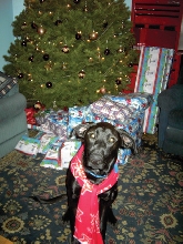 Merry Christmas!