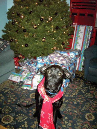 Merry Christmas!