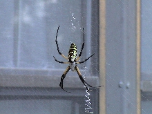 can you help identify?