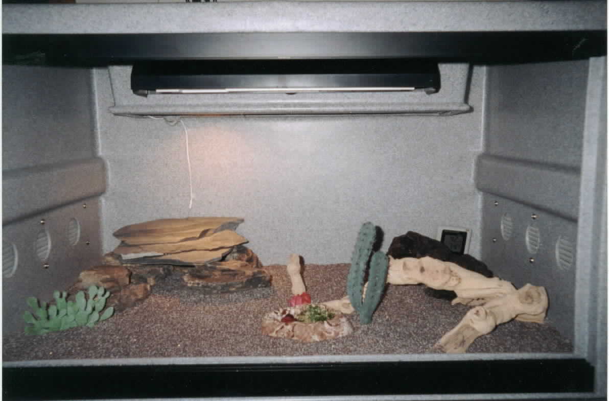Arizona Gene's Enclosure