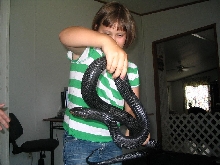 Girl holding 5' plus Male Eastern Indigo