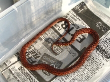 Orange/red garter snake