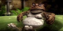 My Cane Toad