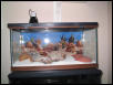 Rocky's Tank