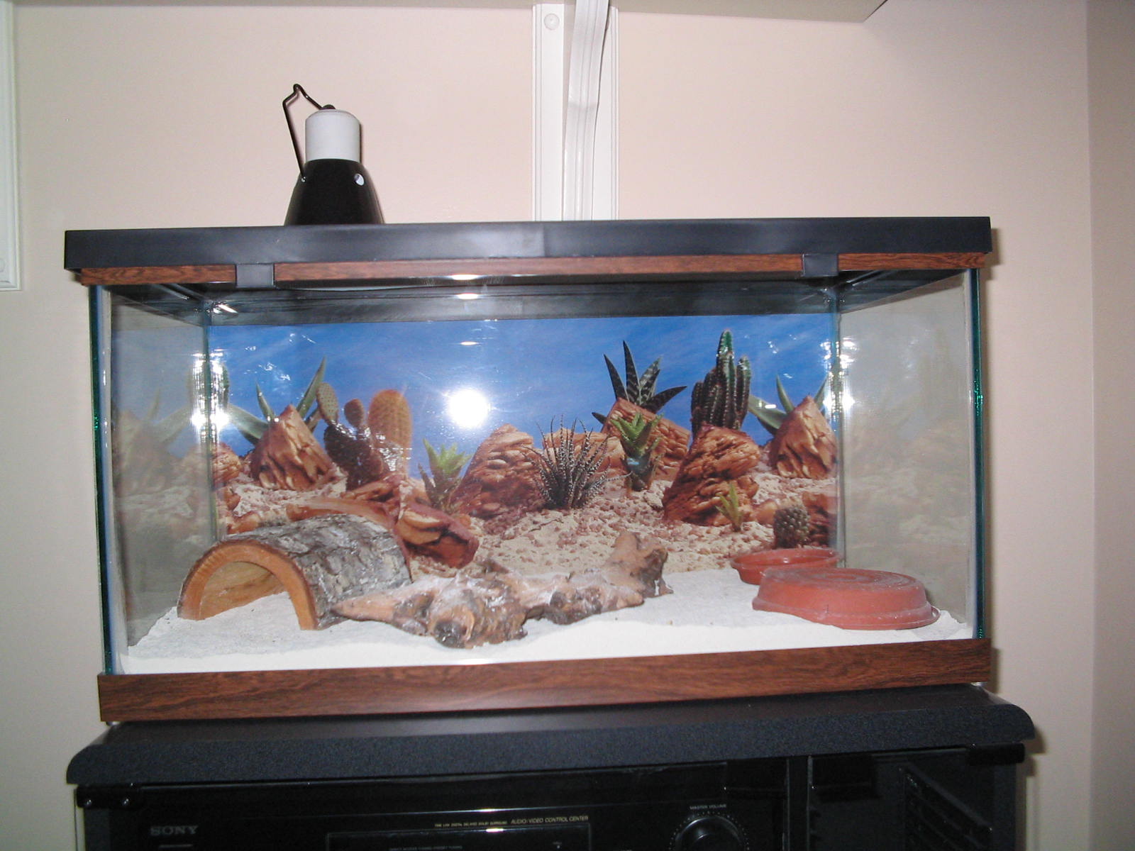Rocky's Tank