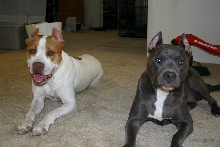 Red and Blue Pits
