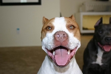 Red nose