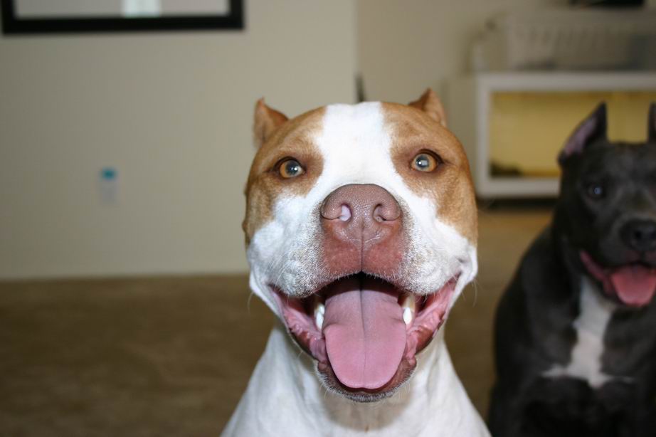 Red nose