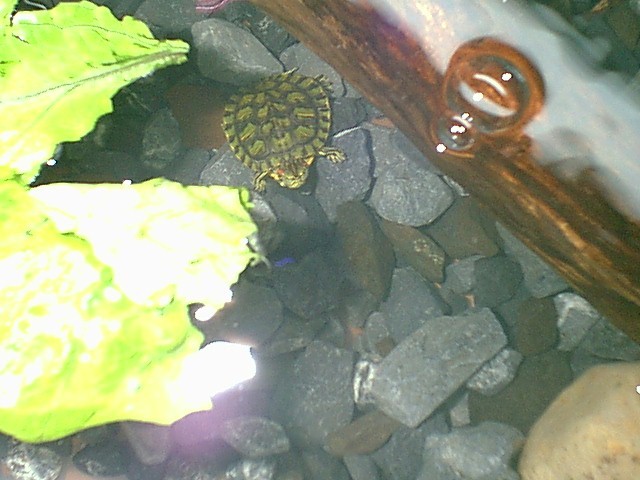 babyres3