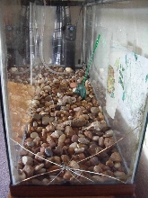 cracked tank