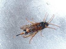 What is this??