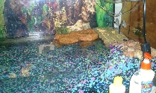 random tank pic