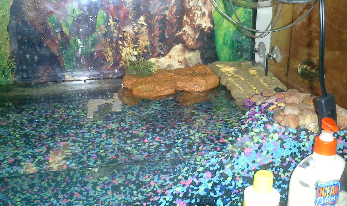 random tank pic