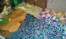 res basking area